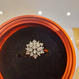Diamond Shine 1